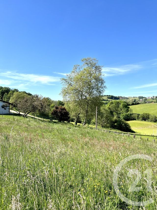 appartement - MENDIONDE - 64