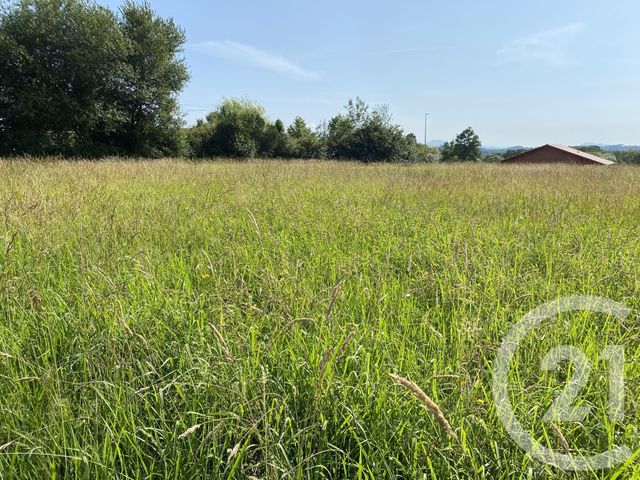 terrain à vendre - 700.0 m2 - VILLEFRANQUE - 64 - AQUITAINE - Century 21 Agence Les Alizés