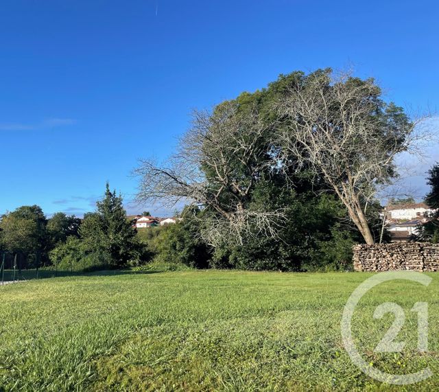 terrain à vendre - 561.0 m2 - USTARITZ - 64 - AQUITAINE - Century 21 Agence Les Alizés