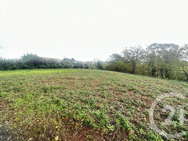 terrain - USTARITZ - 64